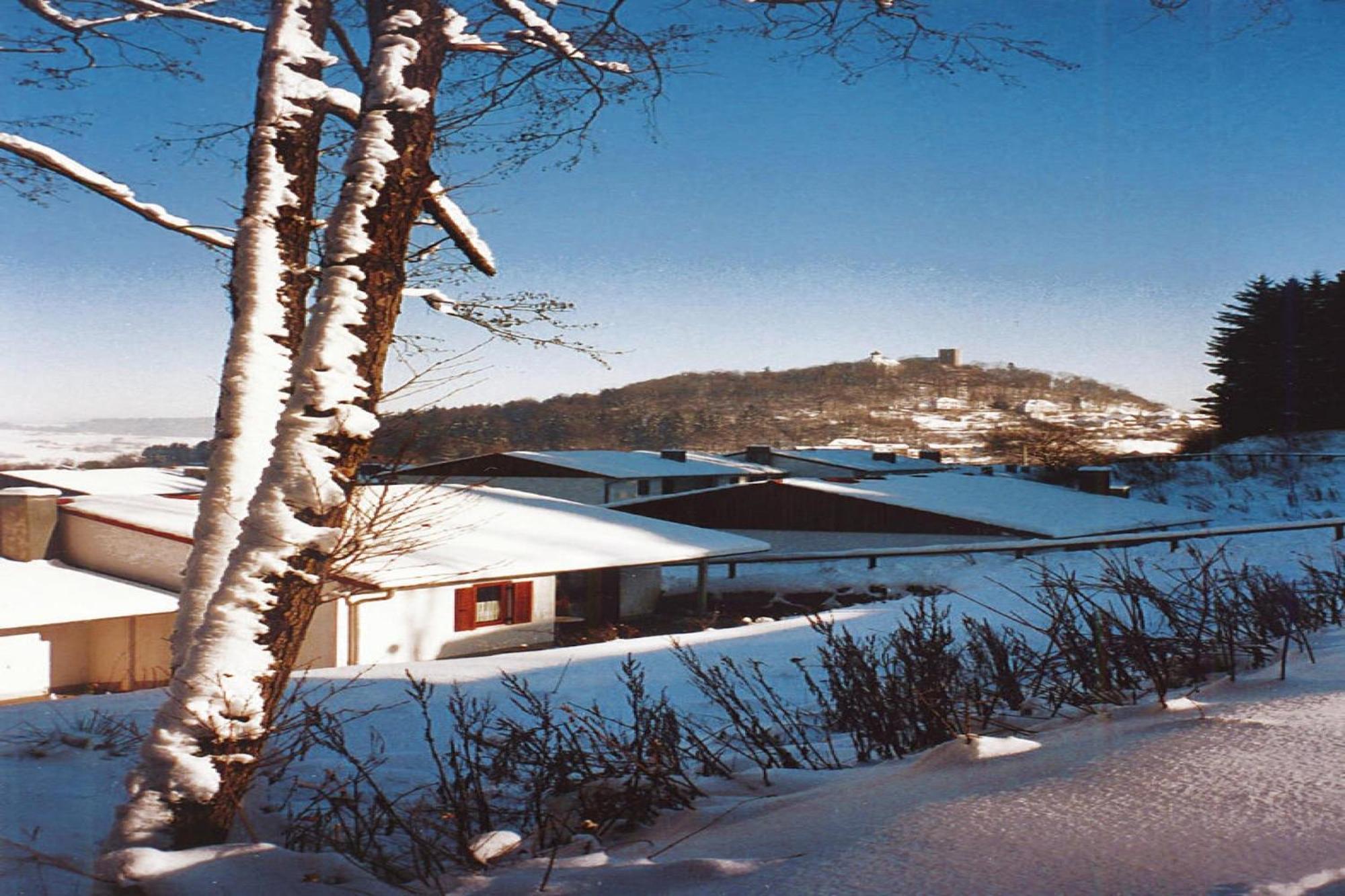 Ferienwohnung Im Ferienpark Falkenstein Falkenstein  Екстериор снимка